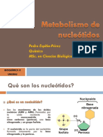 Metabolismo de Nucleótidos (1)