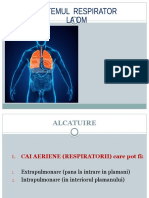 sistemul-respirator-la-om