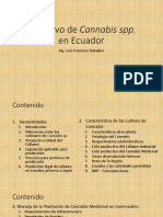 El Cultivo Del Cannabis en Ecuador - F. Robalino 2021