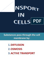 Osmosis Diffusion Active Transport PDF