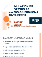 Guia Para Formulacion PI-salud