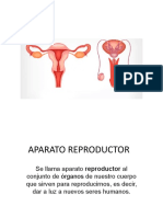 Aparato Reproductor