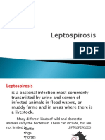 Leptospirosis