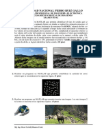 Examen Final PDI 2020 1