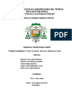 Clinica de Plantas, Diseño de Aplicación para Celular