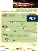 Infografía Alimentación Virtualizada