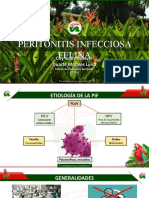 PIF: Etiología, patogenia y signos clínicos