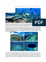 Coral Reefs Ecosystem Overview