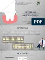 Anatomia Dental: Estrutura e Função dos Dentes