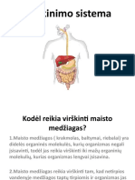 Virškinimo Sistema