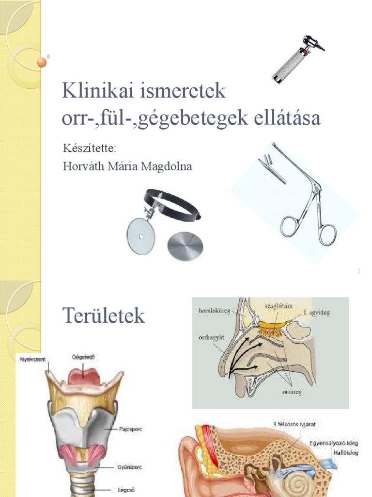 Klinikai Ismeretek - Orr-Fül-Gége | PDF