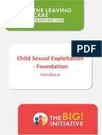 Child Sexual Exploitation - Foundation: The Training Hub