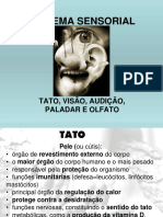 Sistema Sensorial Tato, Visão, Audição, Paladar e Olfato