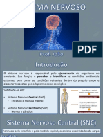 Sistema Nervoso Central (SNC) Encéfalo e Medula Espinal. Sistema Nervoso Periférico (SNP) Nervos e Gânglios