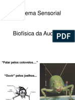 Sistema Sensorial. Biofísica Da Audição