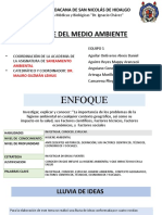 HIGIENE AMBIENTAL (1)