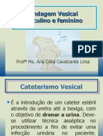 Cateterismo Vesical: Técnica e Cuidados