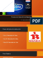 Proceso de Inducción de Babaría