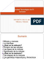 C4 Mitosis y Meiosis