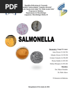 Salmonella Grupo B Avance