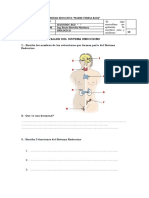 Taller Sistema Endocrino