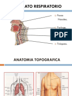 Clase de Aparato Respiratorio 2017