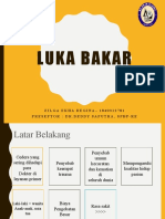 CSS Luka Bakar Fix