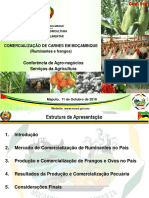 Comercialização de carnes e frangos em Moçambique