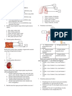 soal sistem ekskresi