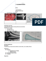 Lesiones Meniscales y Ligamentarias