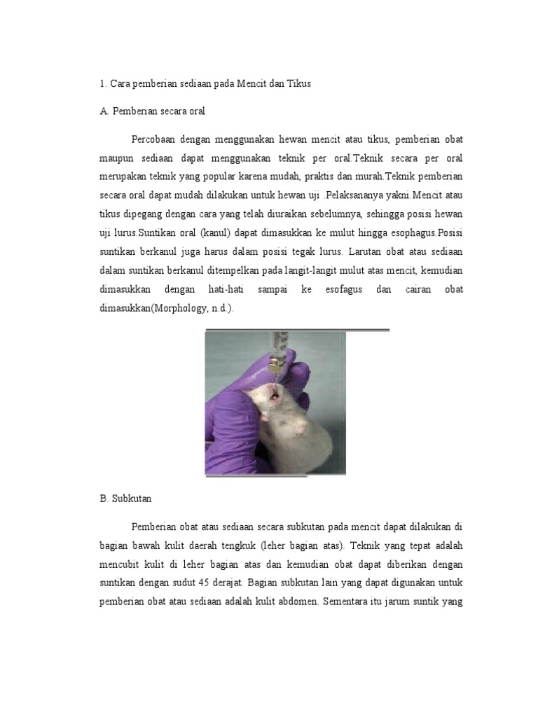 Cara Pemberian Mencit | PDF