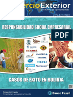 Ibce-Responsabilidad Social Empresarial