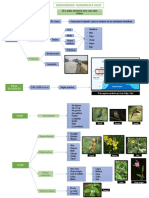 Biodiversidad