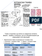 ЖИВОТИНСКИ ТКИВА