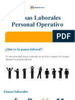 PDF Pausas Laborales Operat - So