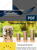 Entrepreneurial Business Selection and Entrepreneurial Finance