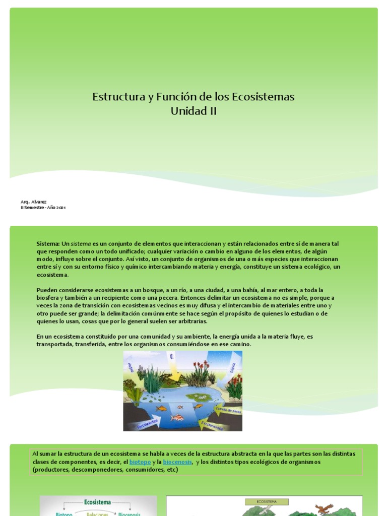 Estructura y Función de Ecosistemas | PDF | Ecosistema | Selva