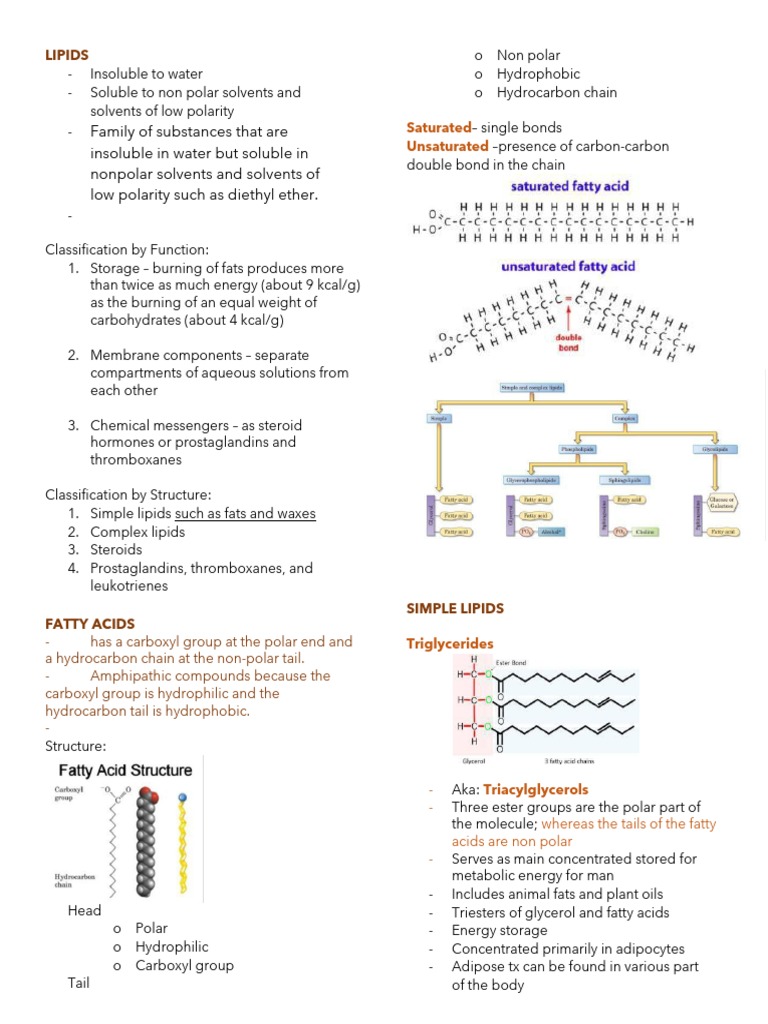 Lipids - Reviewer | PDF | Lipid | Cholesterol