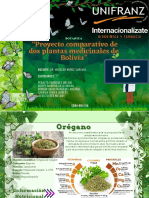 Botanica Plantas Medicinales-Presentacion