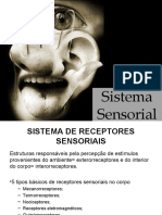 A6 Stema Sensorial