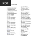 Download reas de Brodmann 1 by Elii Mp SN53907506 doc pdf