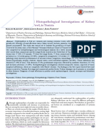 Gross Pathology and Histopathological Investigations of Kidney