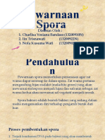 Pewarnaan Spora - Kel 7