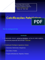 Calcificações Patológicas 2014