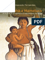 livro De cunhã a mameluca a mulher Tupinambá e o nascimento do Brasil (1)