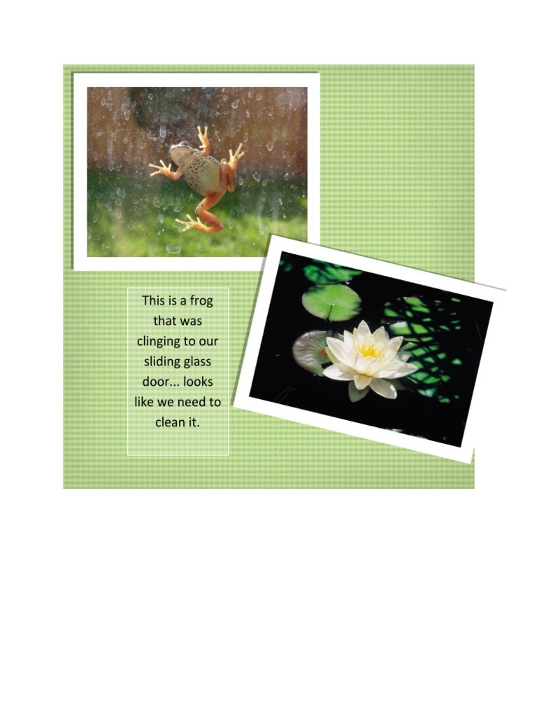 Frog | PDF
