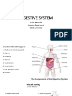 Digestive System MLT