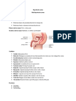 Production of Germ Cell Spermatozoa From The Testis During Coitus Production of Male Sex Hormone Testosterone From The Testis