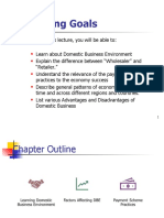 Domestic Business Environment