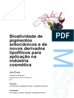Bioatividade de pigmentos antociânicos e de novos derivados lipofílicos para aplicação na indústria cosmética